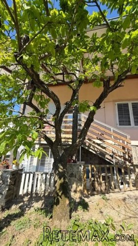 Prodajem kucu u Artiljevu,Sremska Kamenica,Novi Sad - 6