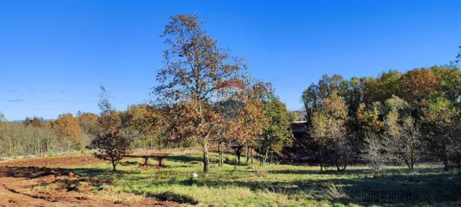 Istra, Barban, Rojnići - građevinsko zemljište, 910 m2 - 2