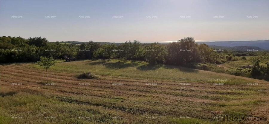Prodaja građevinskog zemljišta. Vižinada. - 4