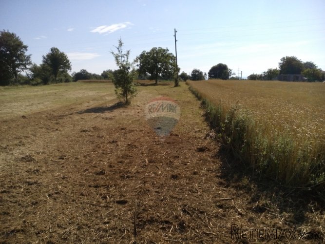 ISTRA, BARBAN GRAĐEVINSKO ZEMLJIŠTE - 3