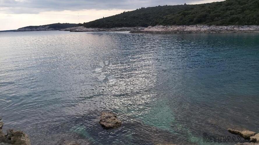 Šuma Kavran, pogled na more - 3