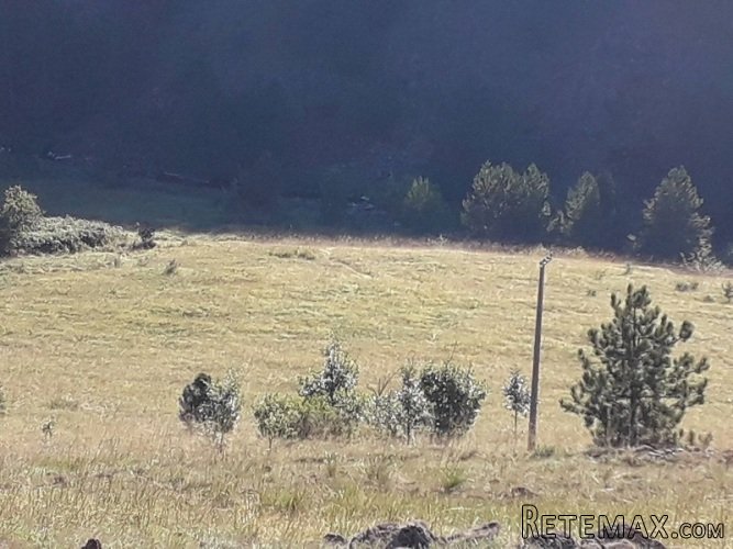 Plac Tometino polje-Divcibare - 6