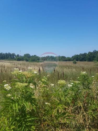 Istra, Lovrečica, poljoprivredno zemljište 2 km od mora