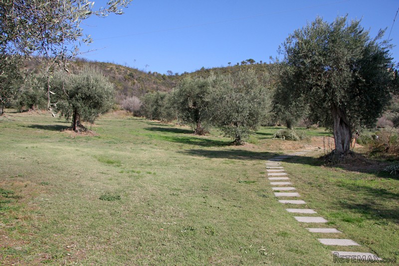 Property - Umbria - For Sale