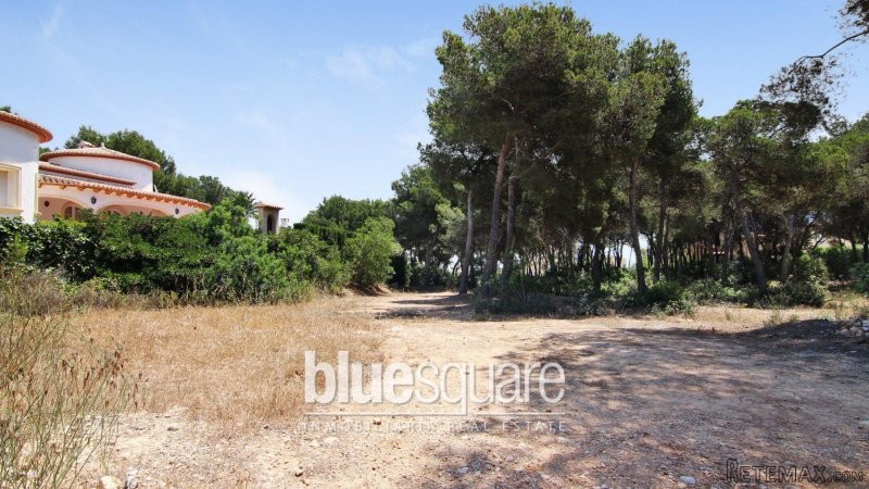PLOTS WITH SEA VIEW