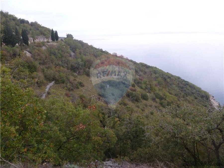 BRSEČ - GOLOVIK
