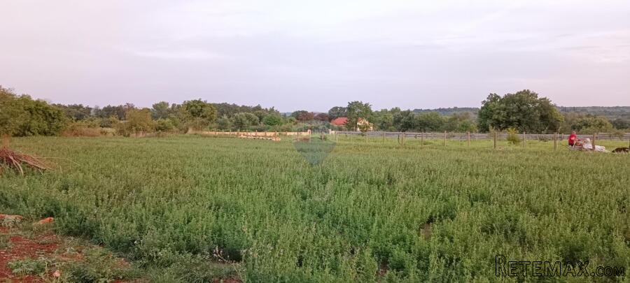 Istra, Marčana, vikend zemljište u Marčani 2660m2 - 2