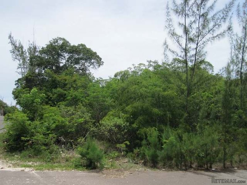Singlefamilyvacant - This large single..