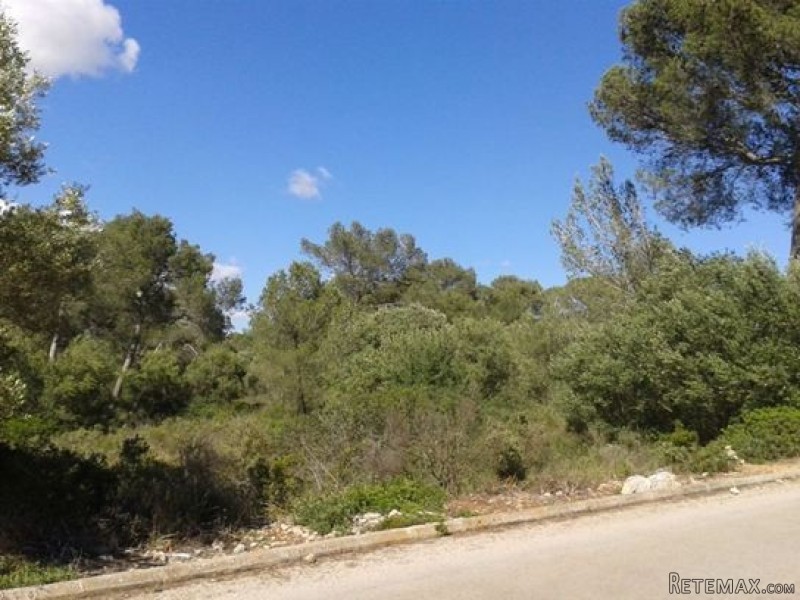 Plot for sale in Sineu. - 2
