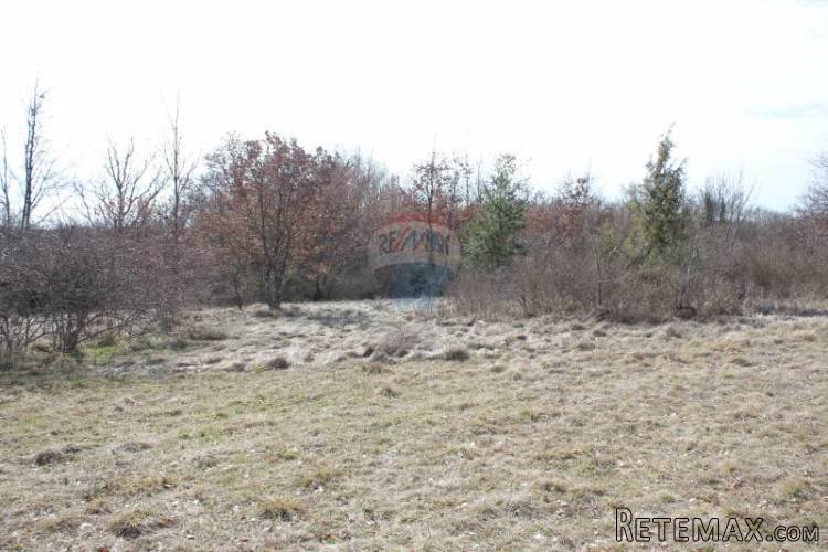 Poljoprivredno zemljište u okolici Pazina