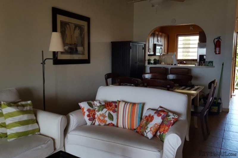 Centrally located condiminium apartment - 2