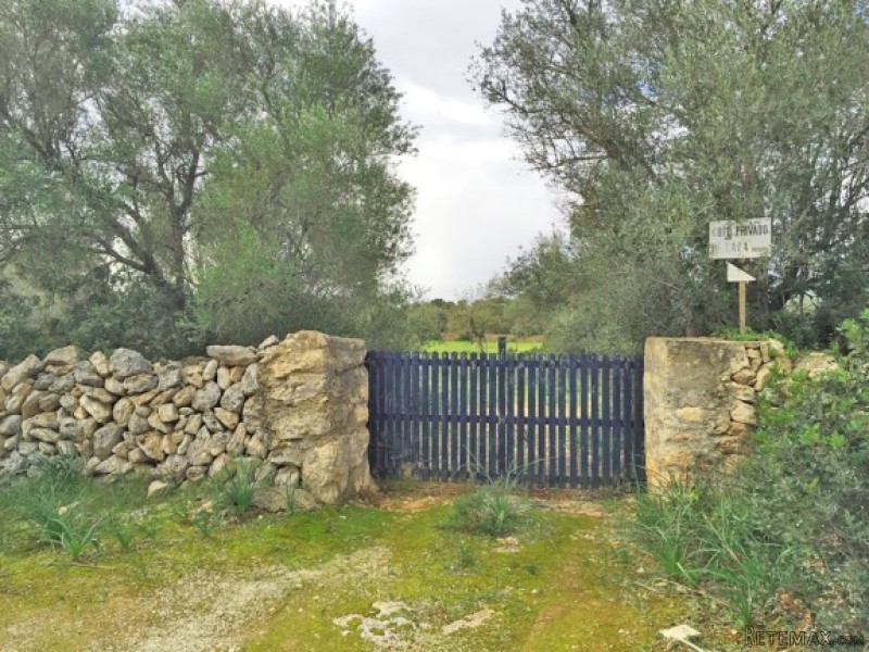 Land With Ruin And High Privacy In.. - 2