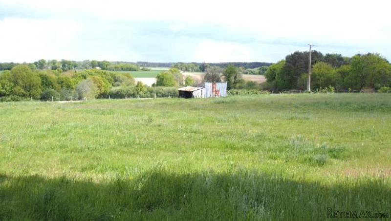 House on 1.2 Hectares of Land - 2