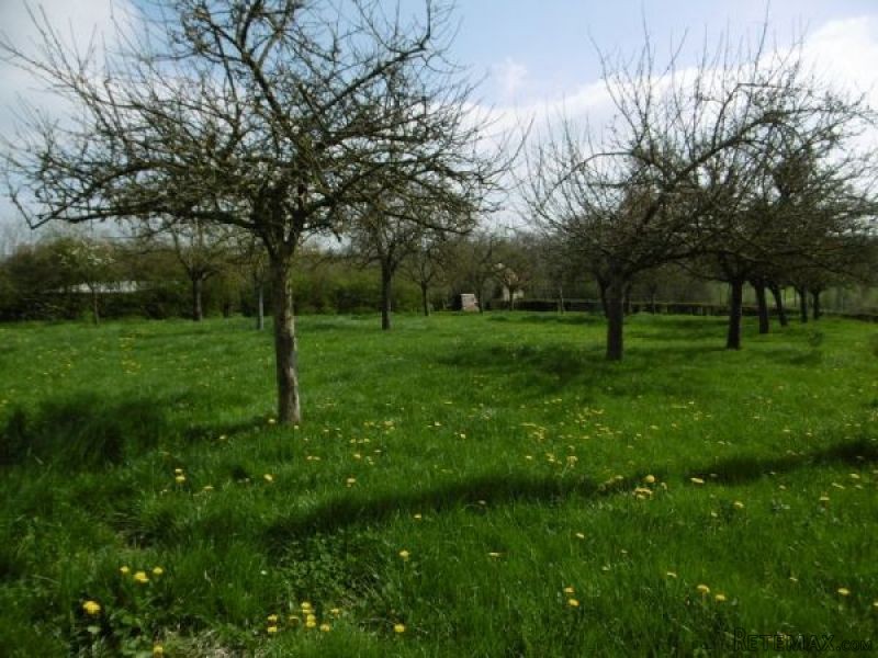 Superb Detached Rural House - 2
