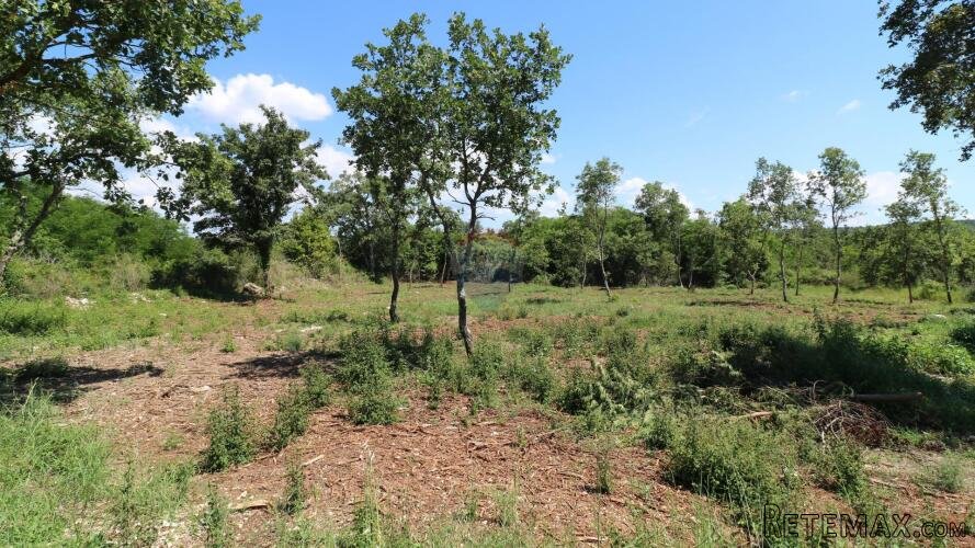 VIŠNJAN, okolica- građevinsko zemljište 2232 m2 - 3