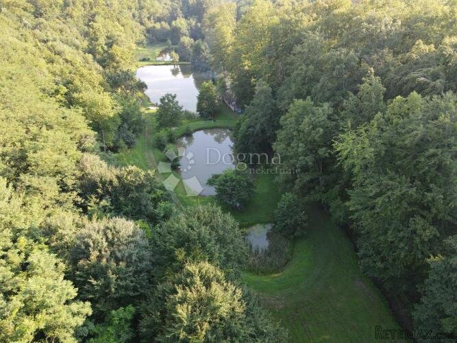 Ribnjaci Slavonija kod N.Gradiške