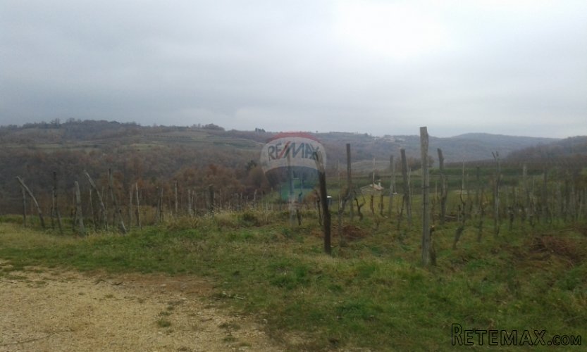 Momjan, građevinsko zemljište s otvorenim pogledom - 2