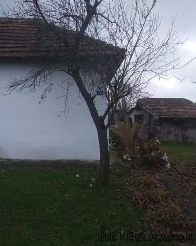 Prodajem kucu na 14 ari placa-Podnozje Kosmaja - 11