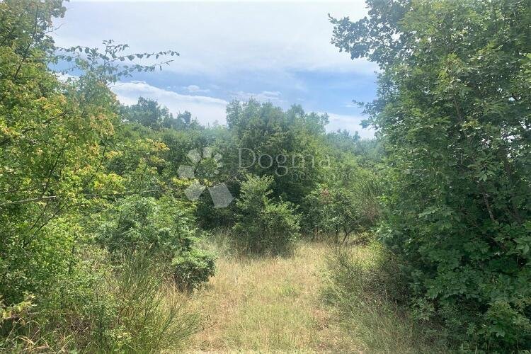 DIVŠIĆI – lijepa parcela 4 km od Vodnjana