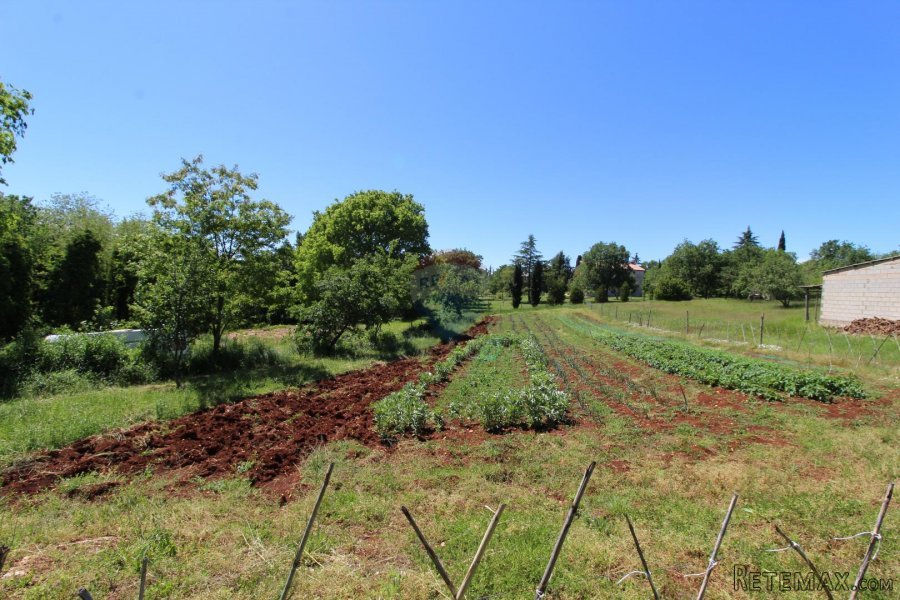 Kaštelir, prelijepa parcela usred bujnog zelenila - 3