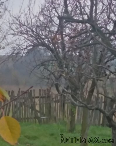 Prodajem kucu na 14 ari placa-Podnozje Kosmaja - 16