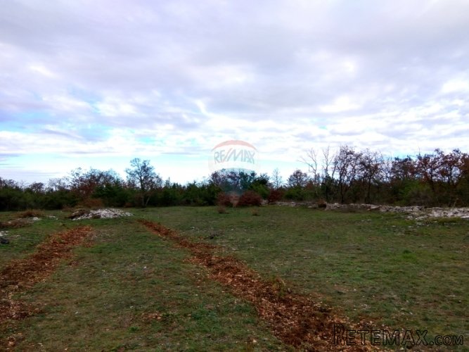 Istra, Vidulini-poljoprivredno zemljište od 17717m2 - 2