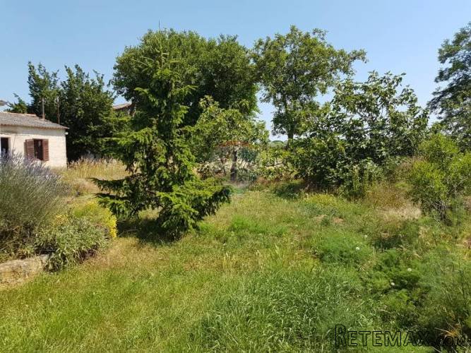 Kuća i građevinsko zemljište - 2