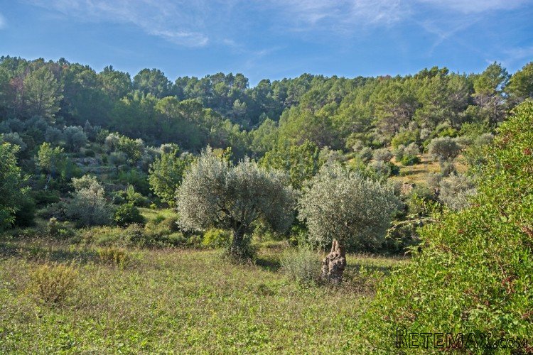 Really beautiful elevated plot in a picturess location..