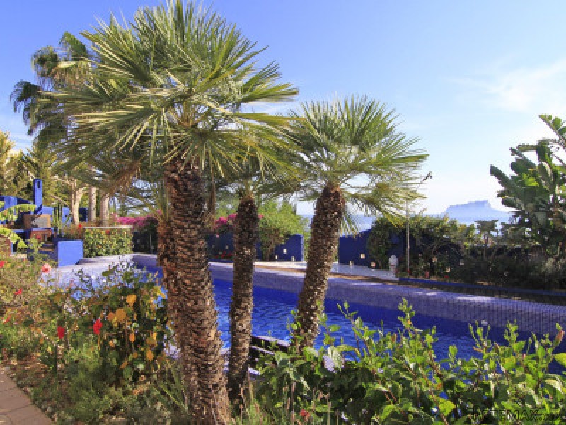 7 Bedrooms - Villa - Alicante - For Sale - 2