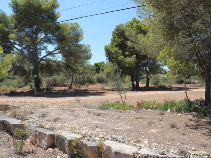 Building Plots With Adjoining Large.. - 2