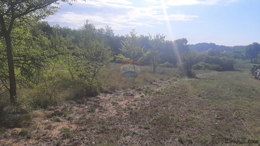 Istra, Karojba okolica - lijepa ravna građevinska parcela - 2
