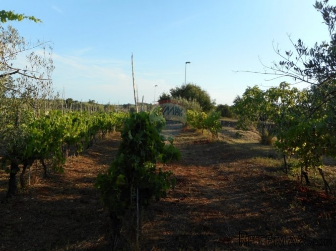 POREČ:4km OD GRADA I NEDALEKO MORA - 3