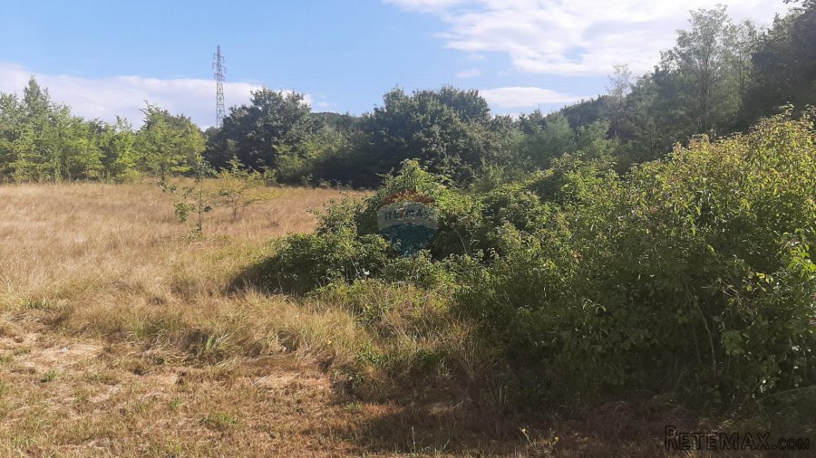 Istra, Karojba okolica - lijepa ravna građevinska parcela - 3