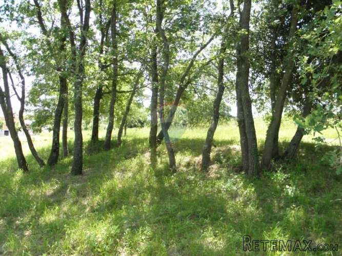 Građevinsko zemljište u Valturi - 3
