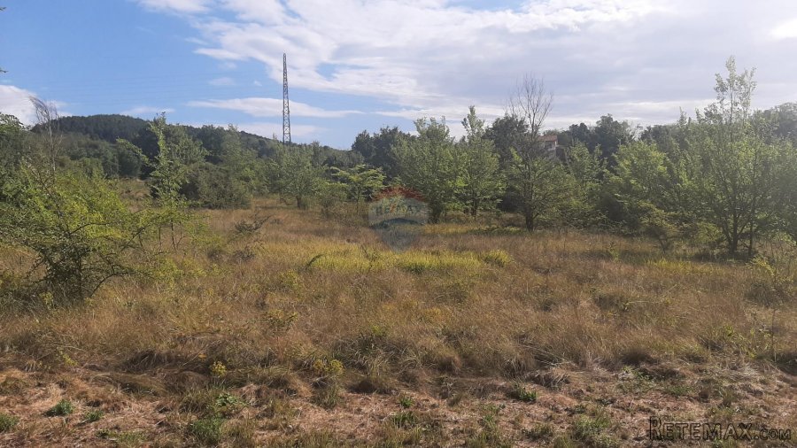 Istra, Karojba okolica - lijepa ravna građevinska parcela - 4