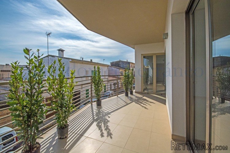 New development in Sa Pobla with materials of very good..