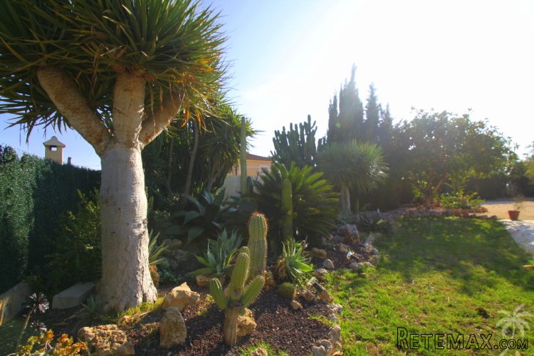 Beautiful detached villa located near the nature reserve in..