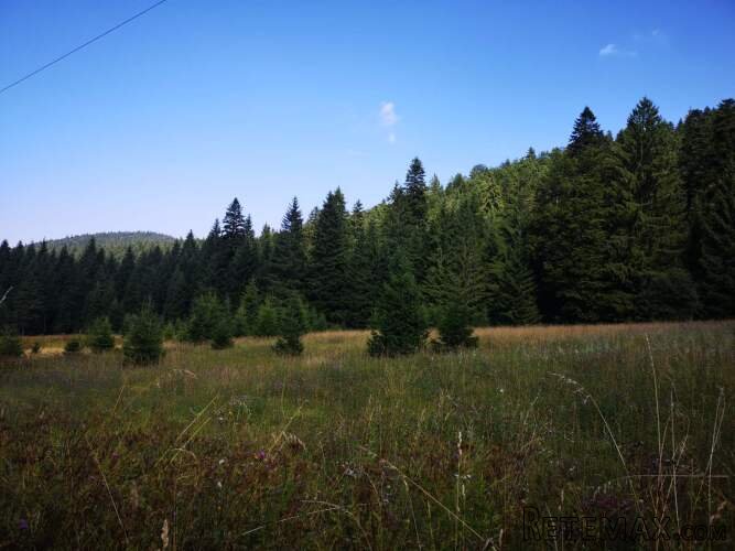 Na prodaju dva placa u blizini Mitrovca na Tari - 7