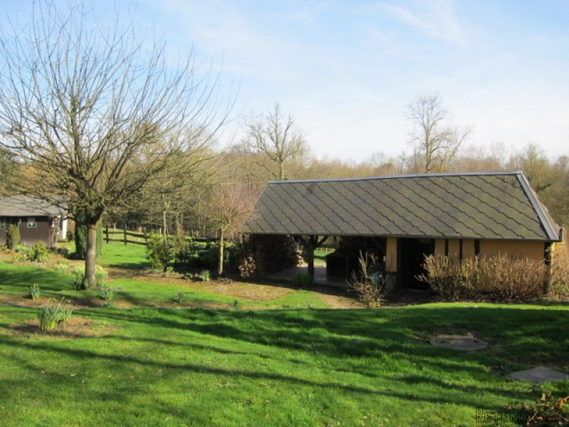 Lovely Rural House on 1.5 Hectares - 2