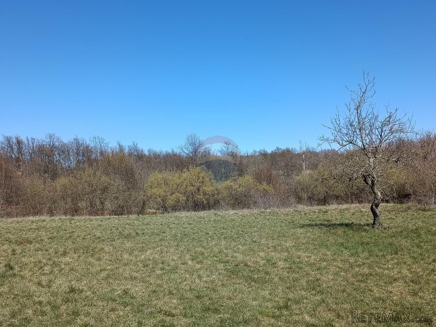 Istra, Barban - građevinsko zemljište 3000m2 na lijepoj loka - 2