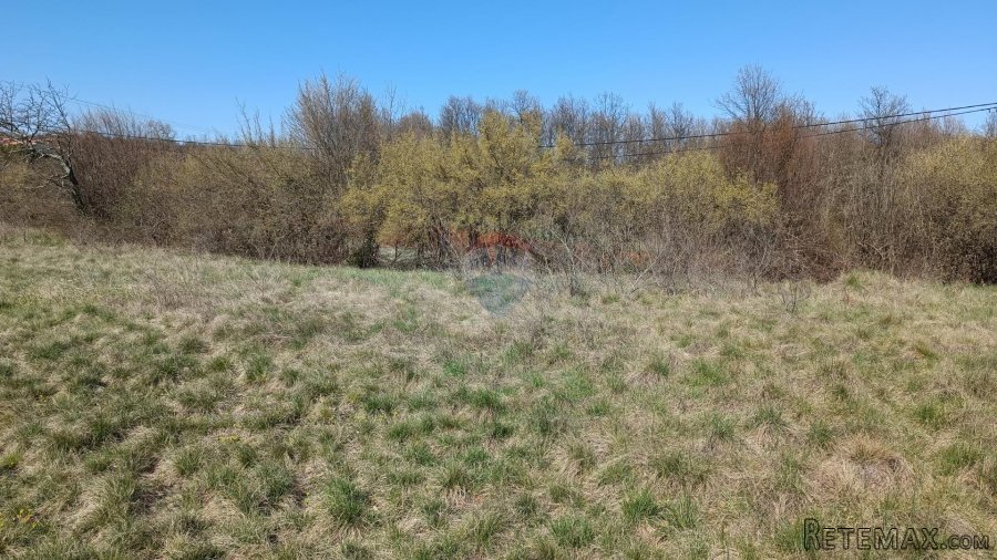 Istra, Barban - građevinsko zemljište 3000m2 na lijepoj loka - 3