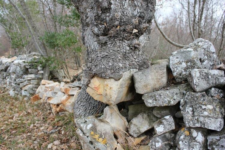 Mandriol-zemljište na predivnoj lokaciji - 3