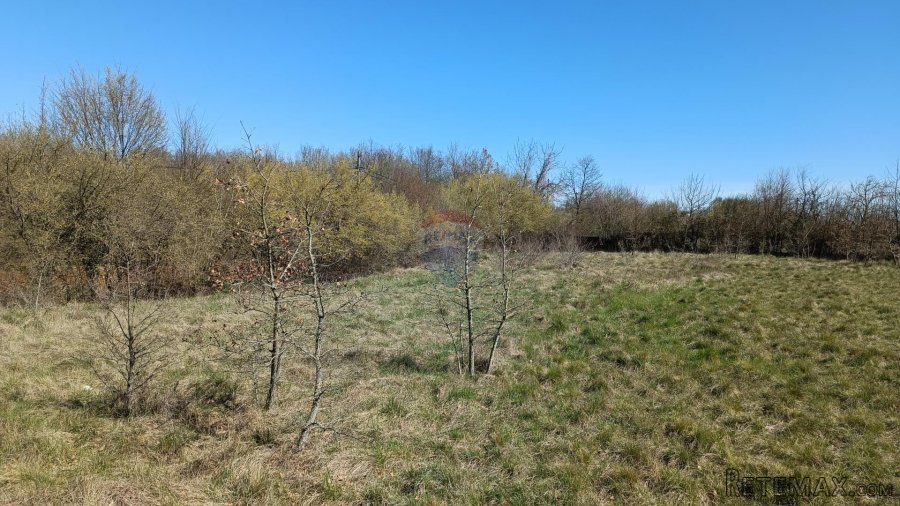 Istra, Barban - građevinsko zemljište 3000m2 na lijepoj loka - 4
