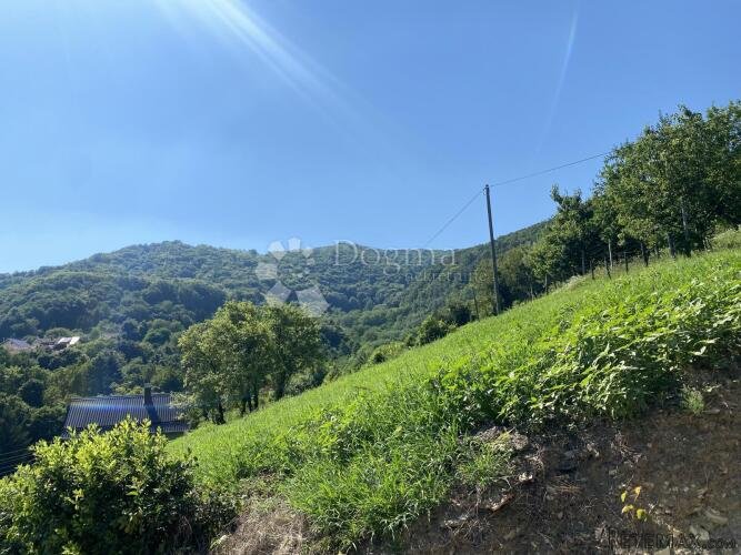Okruženi prirodom