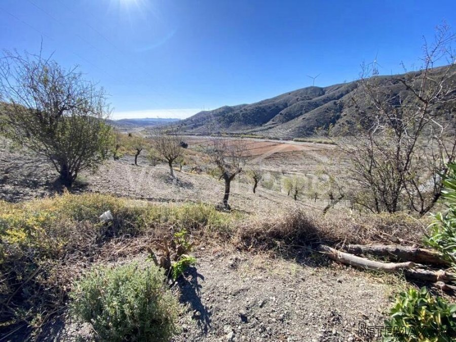 NEW & EXCLUSIVE TO VOSS HOMES - What a beautiful location.. - 5