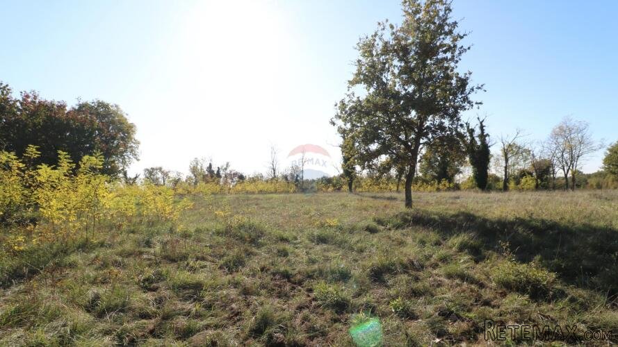 VIŠNJAN, okolica-građevinsko i poljoprivredno zemljište