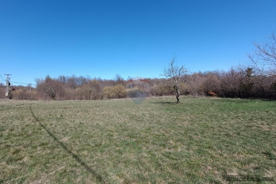 Istra, Barban - građevinsko zemljište 3000m2 na lijepoj loka - 6