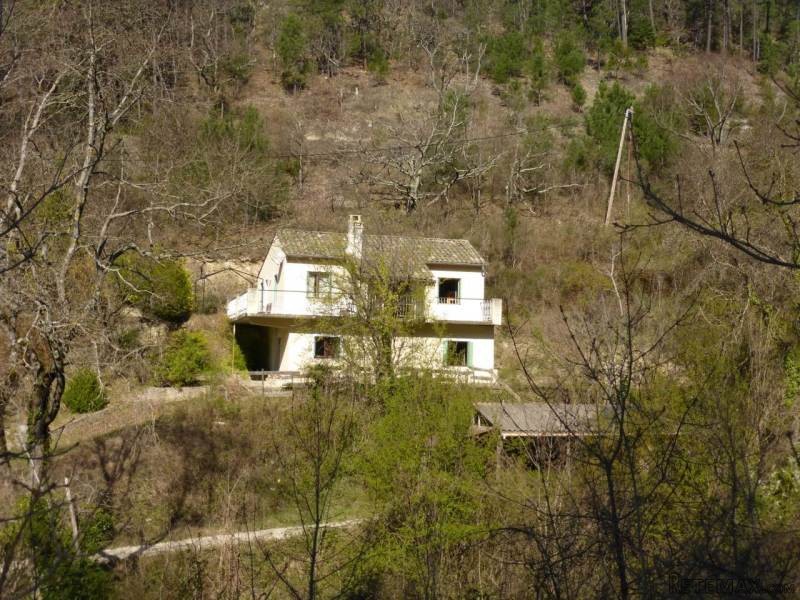 Character House In The Heart Of A Forest - 2