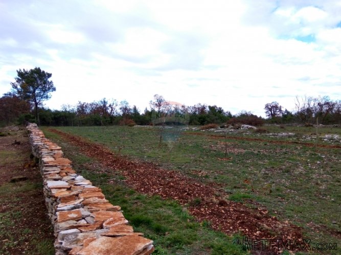 Istra, Vidulini-poljoprivredno zemljište od 17717m2 - 3