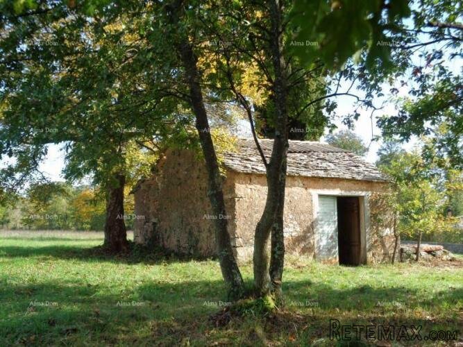 Građevinsko zemljište, Žminj. 60 EURA M2. - 3